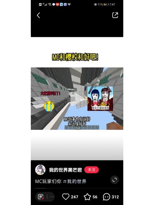 黑芒君的服务器究竟被命名为何？