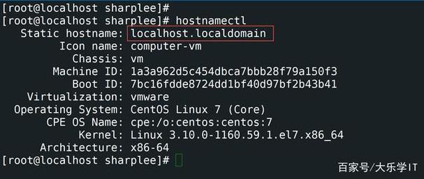 如何在Linux系统中查看并编辑服务器的主机号和授权设置？