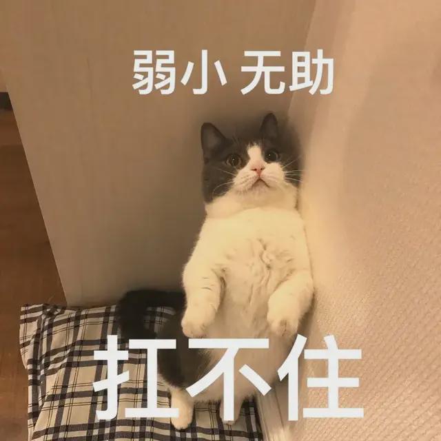 霸气黑页源码_挂黑页是什么意思_挂黑页教程