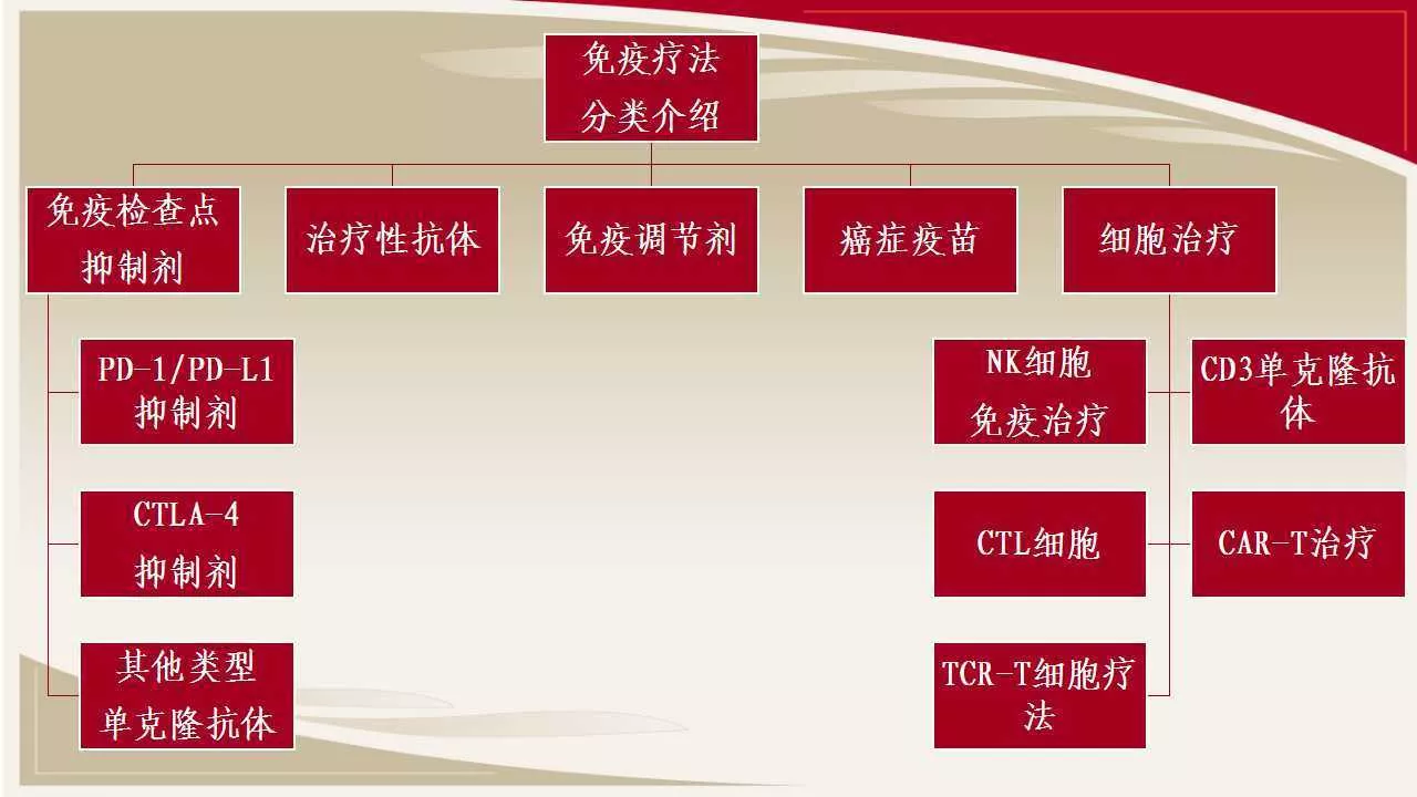 恒瑞医药公司pd1临床试验_报告研究恒瑞pd1是什么_恒瑞 pd 1 研究报告