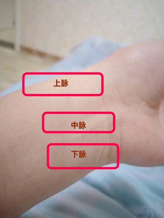 管理用户被删掉了怎么恢复_管理用户英文_ldap管理linux用户
