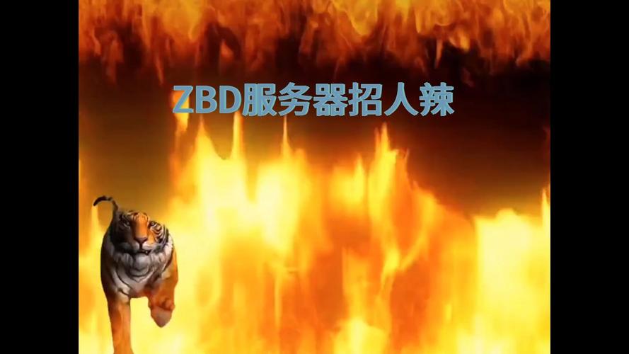 引发服务器瘫痪的热门电影究竟是哪一部？