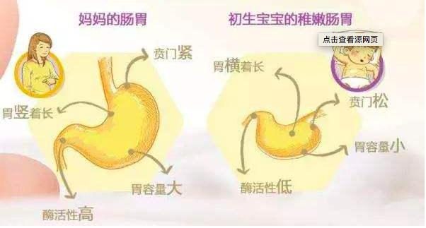 婴儿奶喝完打嗝后吐奶_婴儿奶喝完打嗝后怎么办_婴儿喝完奶后打嗝