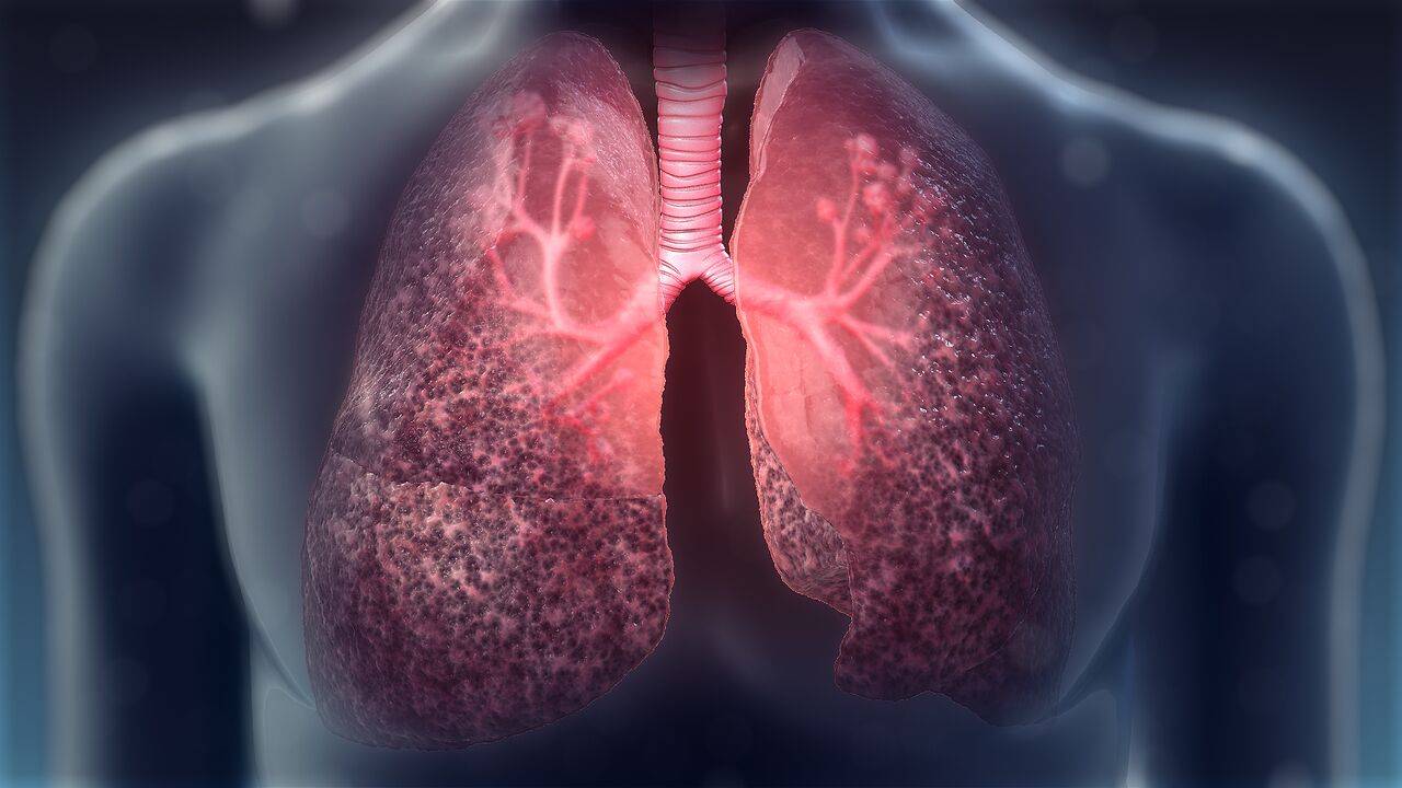 诊所管理系统源码_诊所系统管理用哪个好_诊所管理系统哪里买