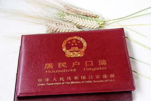 有效身份证件类型_有效身份证件类别是_证件类型身份证是什么意思