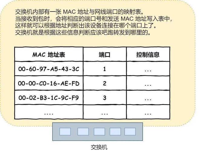 集中服务器端口地址究竟意味着什么？
