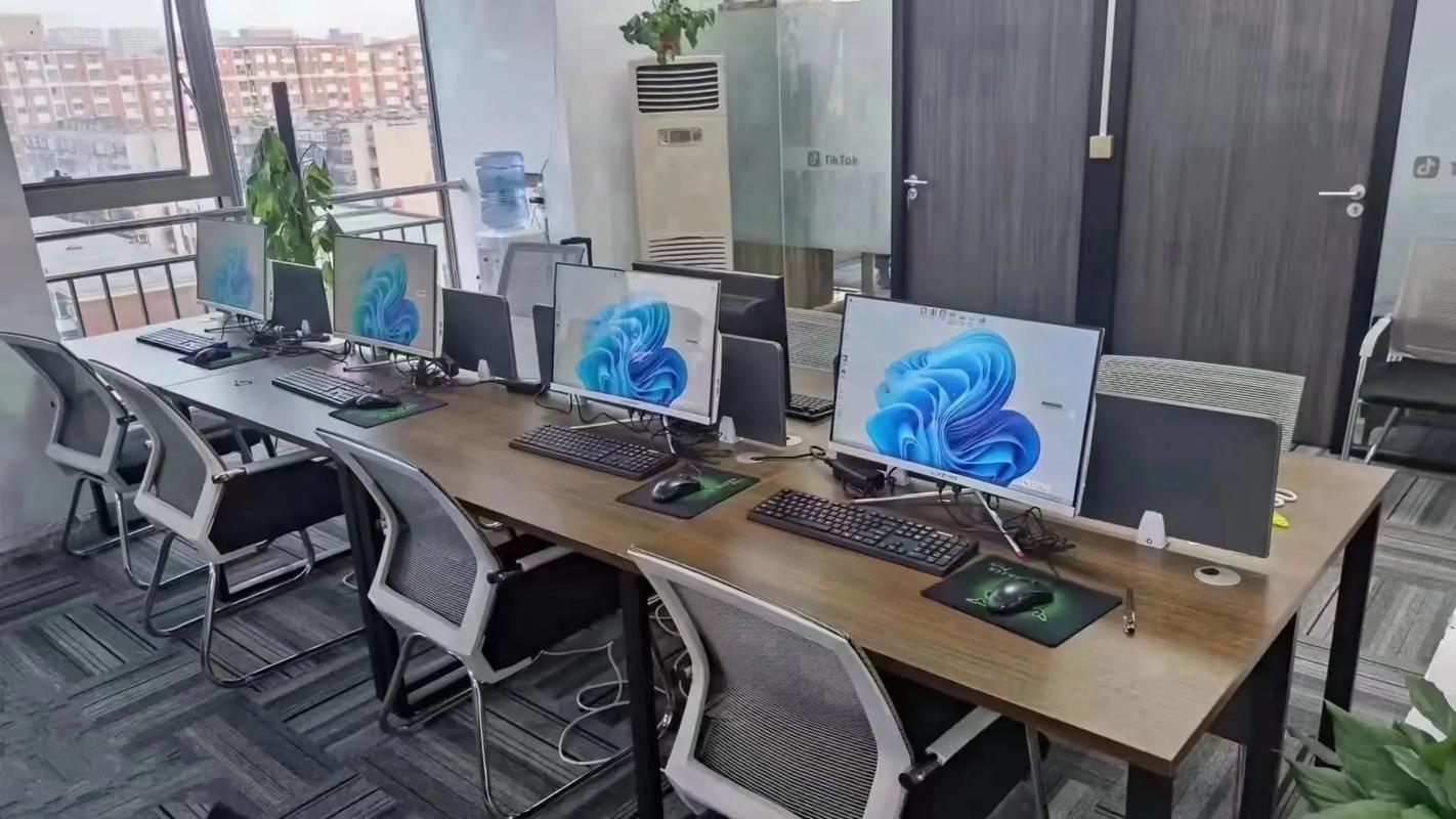 抖音搬砖服务器端口，它是什么，为何重要？