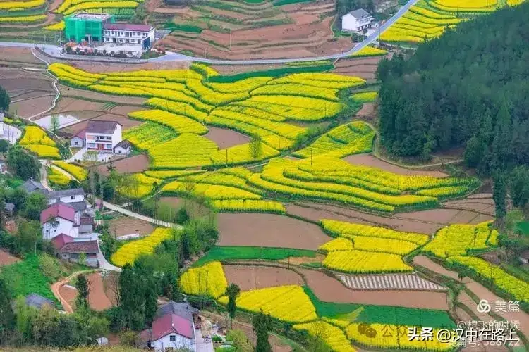 北京朝阳医院预约电话_北京朝阳医院网上预约_北京朝阳医院挂号咨询电话