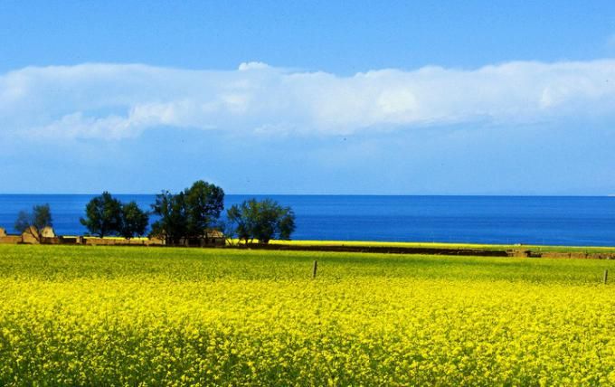 深圳市深海捷科技有限公司_深圳捷深食品有限责任公司_深圳市捷杰科技有限公司