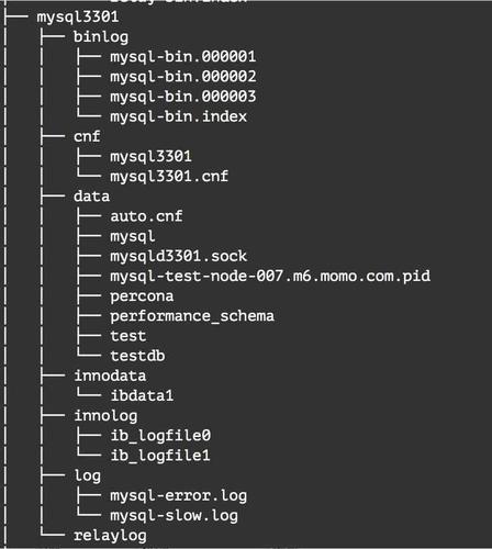 如何正确配置MySQL数据库以提高安全性？
