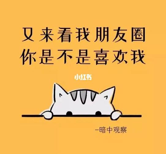 别看我老公朋友圈的流行背后，揭示了哪些社会现象？