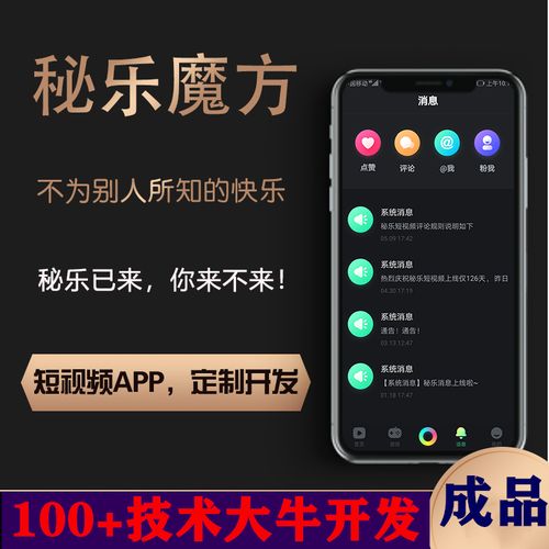 秘乐短视频突然无法访问，究竟发生了什么问题？