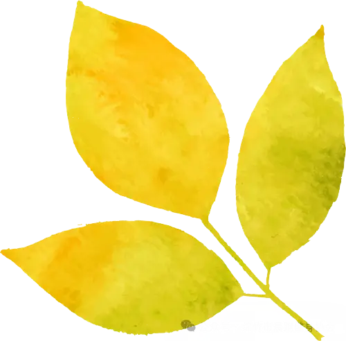 身份证号码批量校验_身份证号码批量验证_批量验证身份证号码正确性