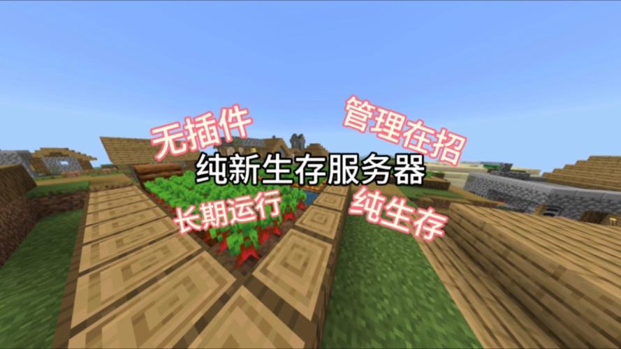 纯生存类服务器，探索其定义与特性