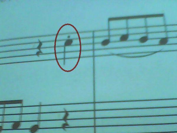 乐谱上的黑点代表什么？