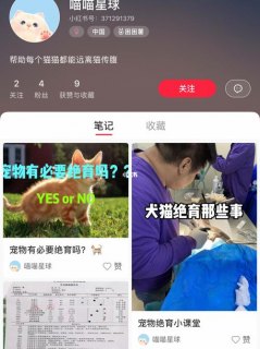 喵喵星球怎么看访客记录-访客记录查看方法-图2