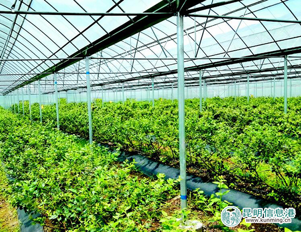 联想控股有限责任公司_控股联想有限责任公司是国企吗_联想控股有限公司股权构成