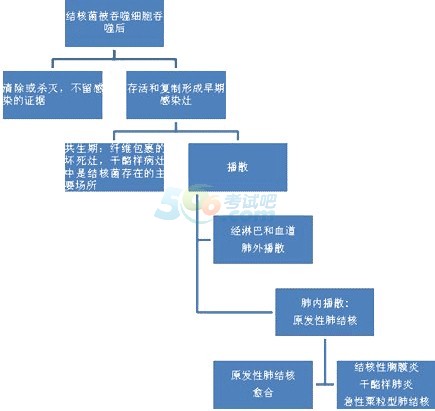 肺传染结核型会传染人吗_三型肺结核会传染吗_肺结核传染就会发病吗