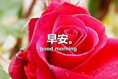 南县人民医院前台电话_辉南县医院电话_南县人民医院搬迁