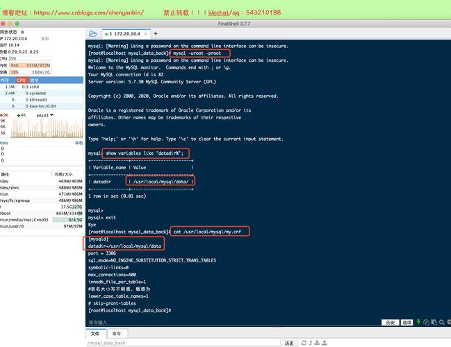 如何有效地导入MySQL数据库的完整备份（版本2.3.16）？
