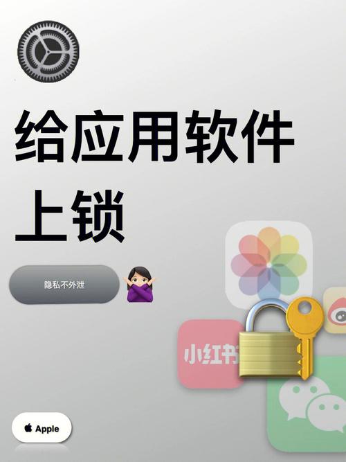 软件界面上的小锁标志代表了什么含义？