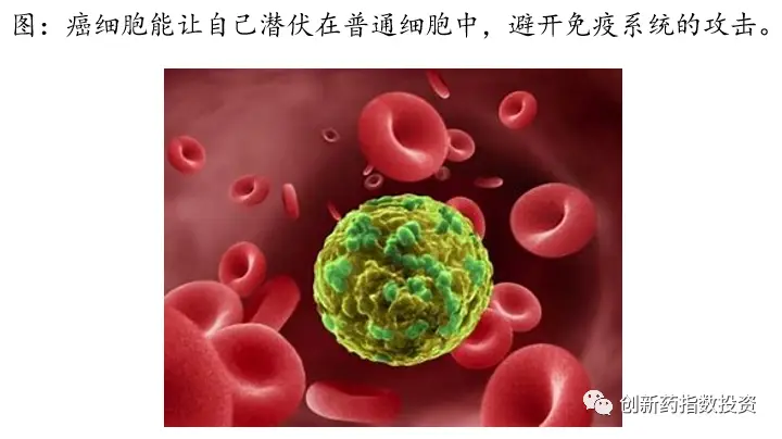 报告研究恒瑞pd1是什么_恒瑞医药公司pd1临床试验_恒瑞 pd 1 研究报告