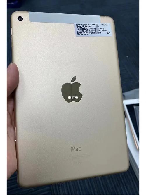 Mini4插卡版有哪些独特功能和用途？