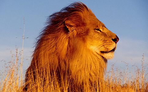 肛门轻度失禁肛门漏气_肛门失禁治疗_肛门 鞭打 承受 失禁