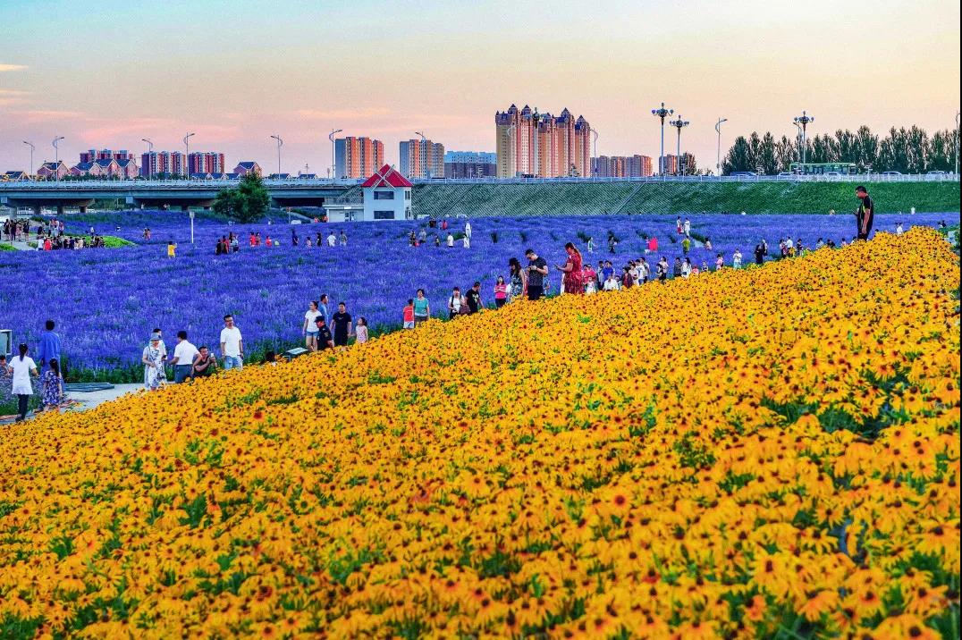 乐至县人民政府县长_乐至县政府_乐至县政府办