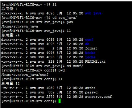 如何在Linux环境下配置SVN服务器并设置数据源？