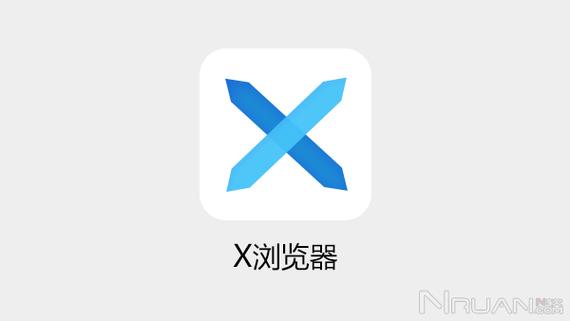 哪个办公软件的图标包含字母X？
