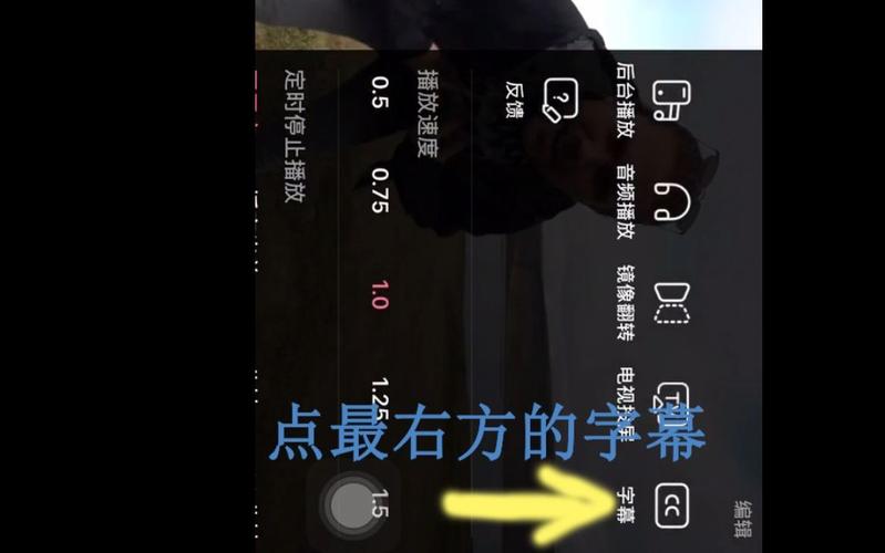 如何打开带CC字幕的视频文件？