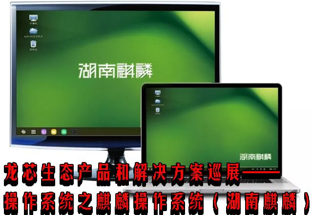 龙芯麒麟哪个技术水平高_中标麒麟芯片_龙芯 中标麒麟