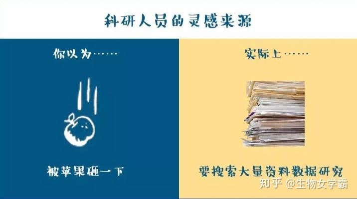 国家公共营养师有用吗_国家公家公共营养师考试_国家公共营养师难考吗