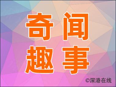 恢复数据点中国_数据恢复diskdigger_恢复数据.中国免费