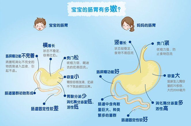 看肠胃哪里好_肠胃好是什么体验_肠胃好有哪些表现