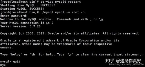 如何在Linux系统中安全重启MySQL数据库及其代理服务？