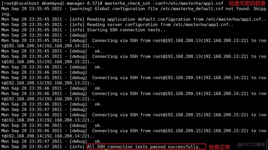 如何正确配置MySQL数据库以提高安全性？
