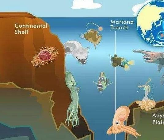 表层地球系统科学研究院_地球表层系统_表层地球系统模型