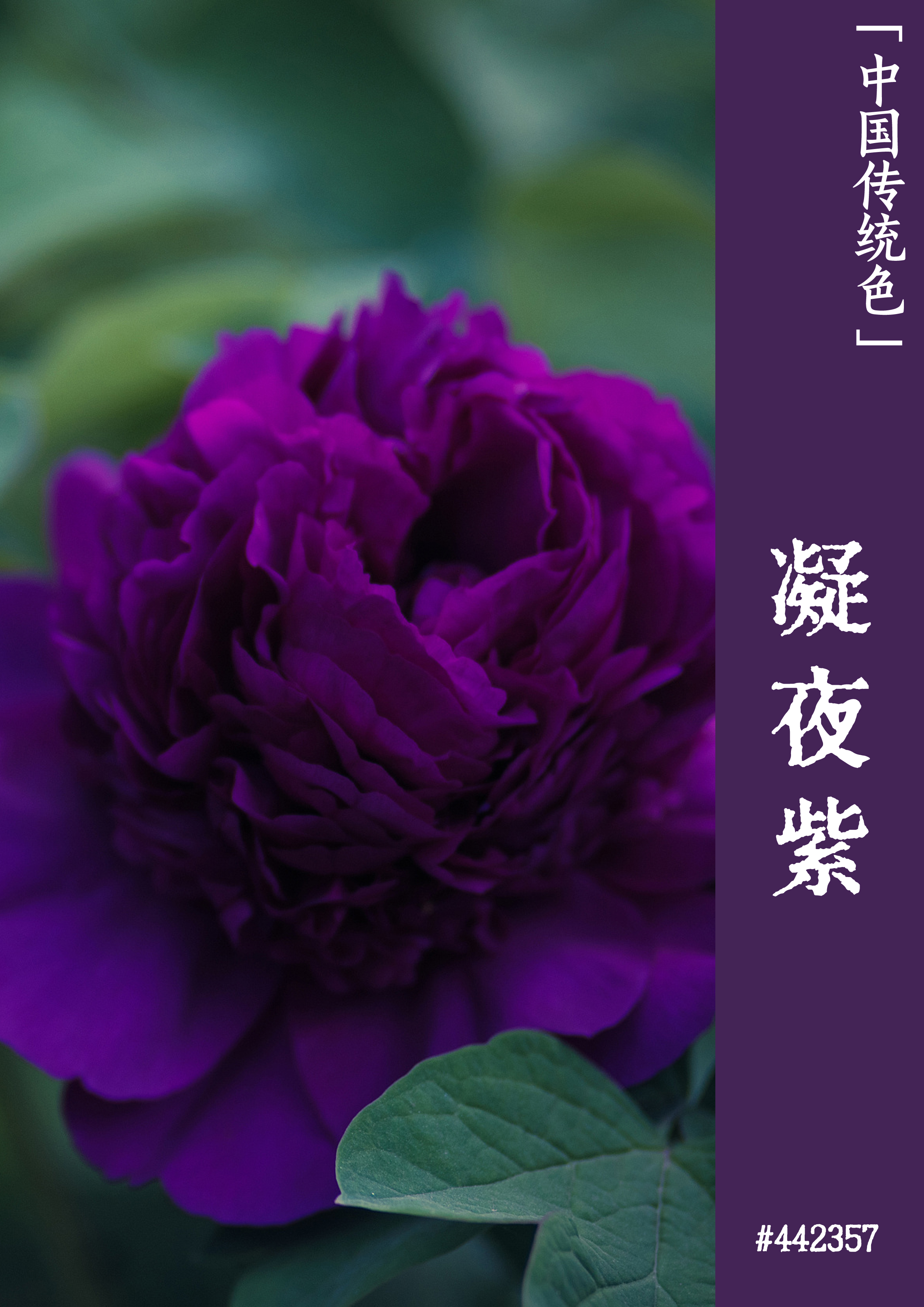 电影帝国模板免费观看_电影杂志《帝国》_帝国电影模板