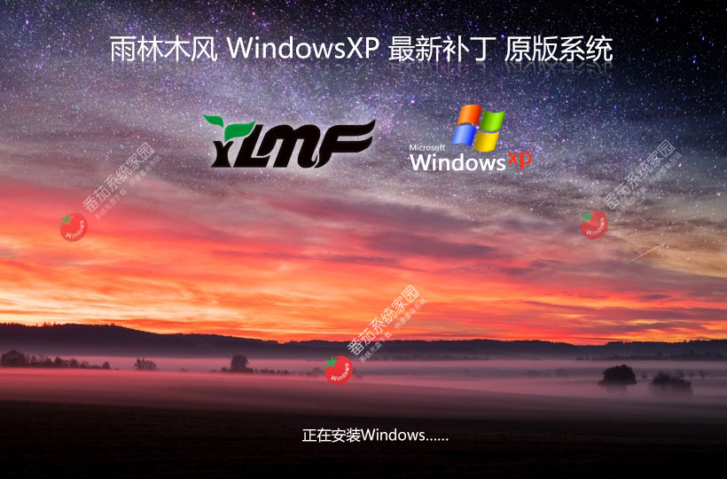 雨林木风xp系统怎么装_雨林木风xp系统安装教程_雨林木风安装win10