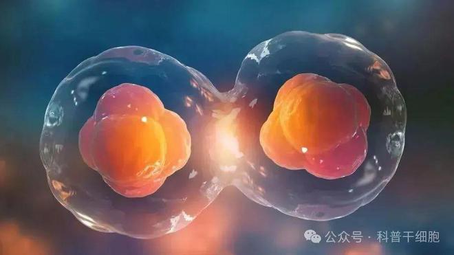 罗克罗恩病的特征性体征_罗克罗恩病_克罗恩病患者