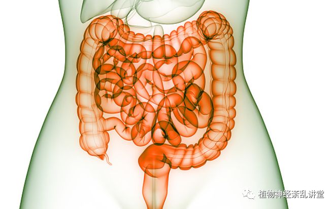 罗克恩病严重吗_克罗恩病都有哪些症状_罗克恩病早期症状