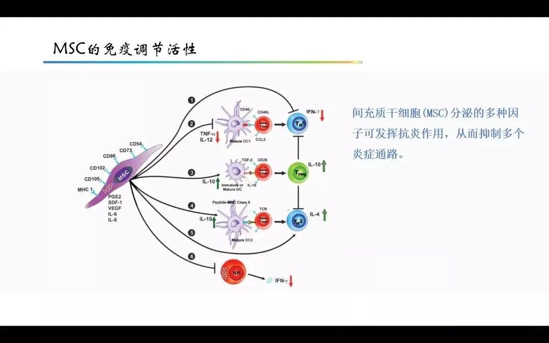 肺细胞角蛋白21-1偏高原因_肺细胞角蛋白高8点多危险吗_肺细胞角蛋白