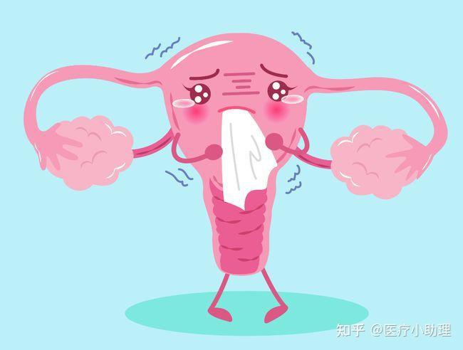 肛门失禁怎么治_肛门失禁的定义_肛门失禁的症状在临床