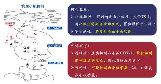 肠胃病吧纪实_胃肠病论坛_肠胃病专家在线咨询