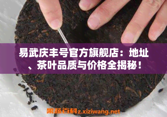 ecshop模板网_ecshop和茶网模板_ecshop万表网模板