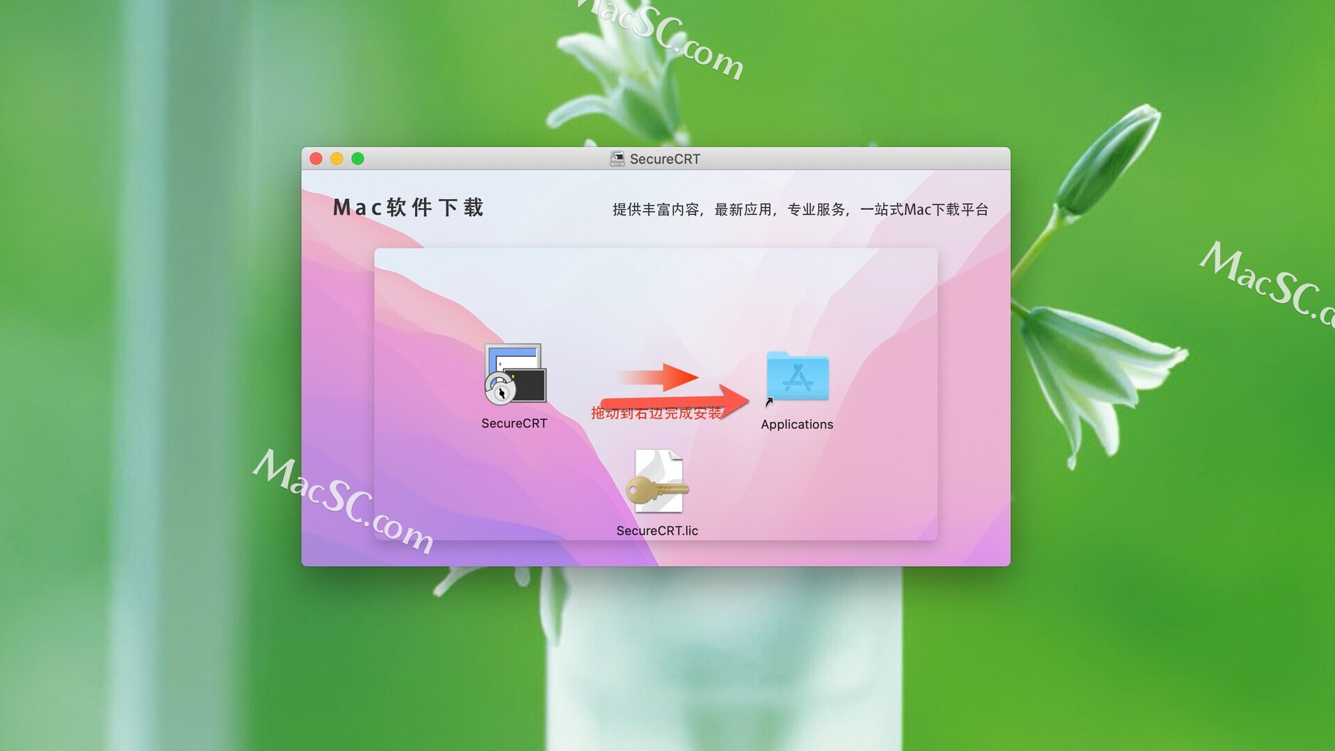 苹果id怎么用电话号码注册_虚拟号码注册_eazyrecover注册码