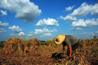 xiuhcundao_xiuhcundao_xiuhcundao