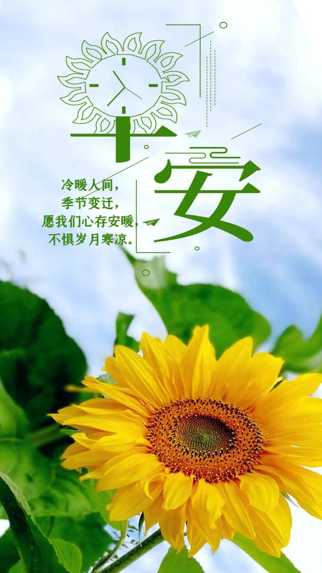 头疼图片带字难受_头疼图片带字图片大全_图片头疼的图片